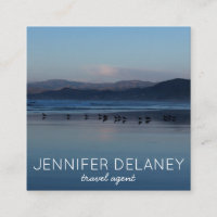 Ocean Beach Waves Birds Sunset Nature Photo Voyage