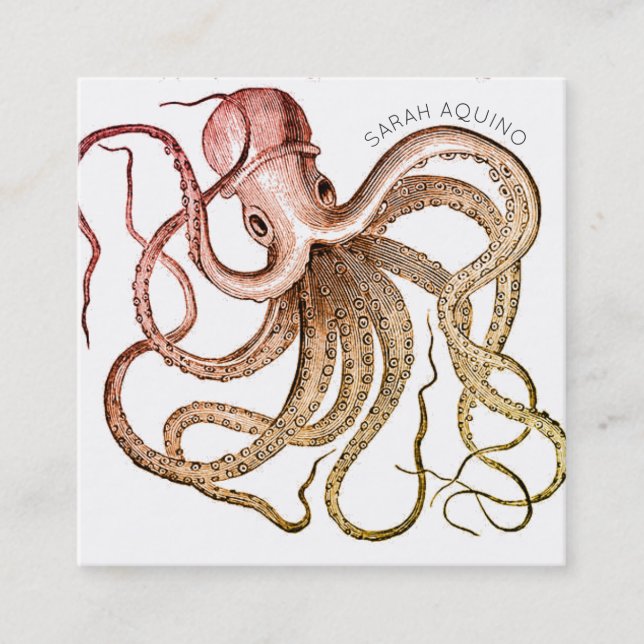 Carte De Visite Carré Octopus Gras Avec Caractère Courbé (Devant)