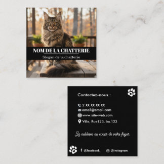 Carte De Visite Carré Personnalisée de Chatterie Maine Coon