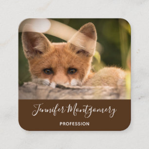 Carte De Visite Carré Photo de Cute Little Orange Fox