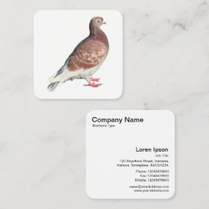 Carte De Visite Carré Pigeon Rouge