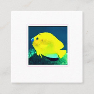 Carte De Visite Carré Poisson-ange à trois taches exotiques - Tropiques