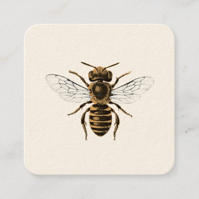Carte De Visite Carré Rucher d'abeille (Devant)