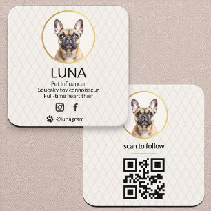 Carte De Visite Carré Social Media QR Code Gold Chien Animal de compagni