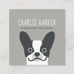 Carte De Visite Carré Soin des animaux familiers mignon français du