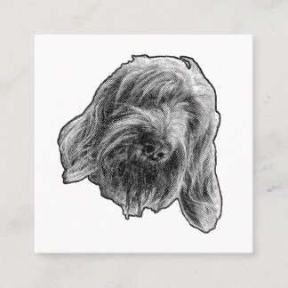 Carte De Visite Carré Spinone Gentle Contact