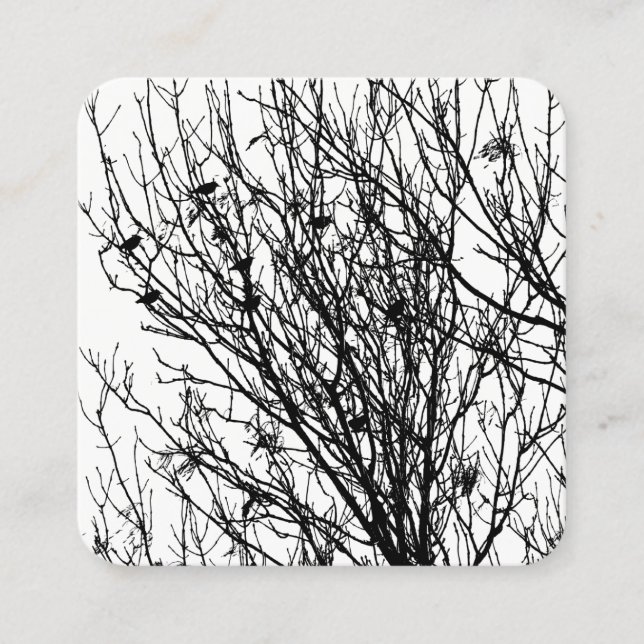 Carte De Visite Carré Starlings dans un arbre - Noir sur Blanc (Devant)