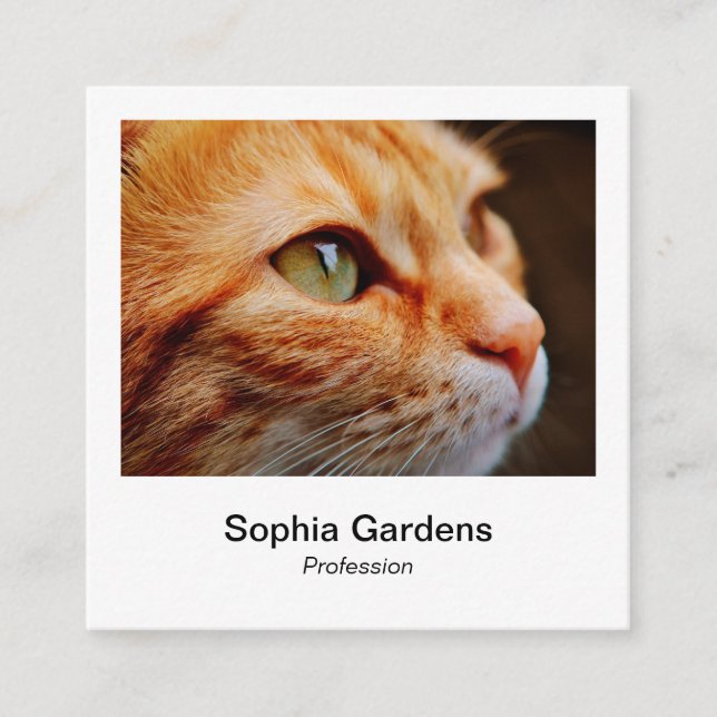 Carte De Visite Carré Style photo instantané - Ginger Cat (Devant)