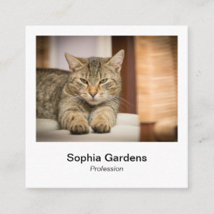 Carte De Visite Carré Style photo instantané - Tabby Cat