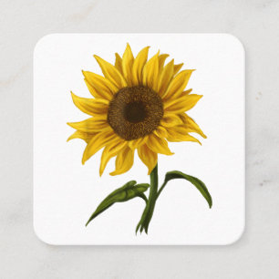 Carte De Visite Carré Sunflower Sunshine Floral Aquarelle Fleur