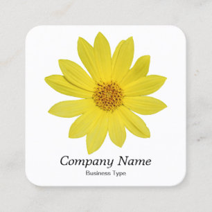 Carte De Visite Carré Tournesol "Reine du citron" Helianthus - Blanc