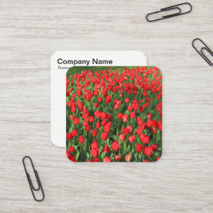 Carte De Visite Carré Tulipes rouges