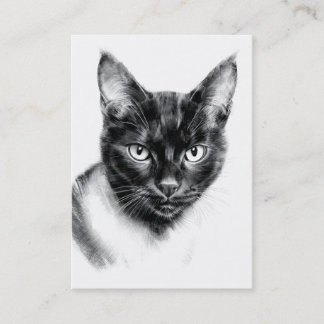 Carte De Visite Cat Charcoal