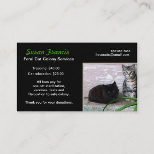 Carte de visite Cause Chat Haret