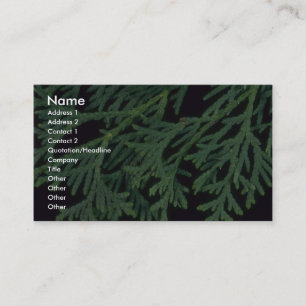 Carte De Visite Cèdre de plante