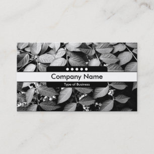 Carte De Visite Centre Band 5 Spots - Feuilles