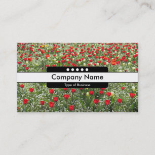 Carte De Visite Centre du groupe 5 Spots - Lit de tulipes