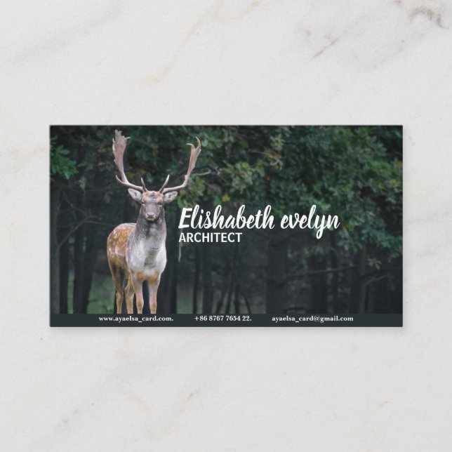 Carte De Visite cerf en jachère cerf animal sauvage (Devant)