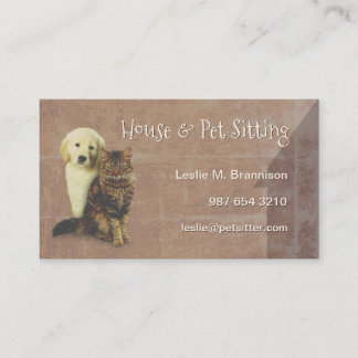 Carte De Visite Chambre et chien et chat se reposants d'animal