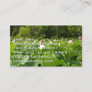 Carte De Visite Champ de fleurs de lotus