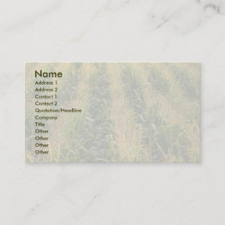 Carte De Visite Champ de maïs