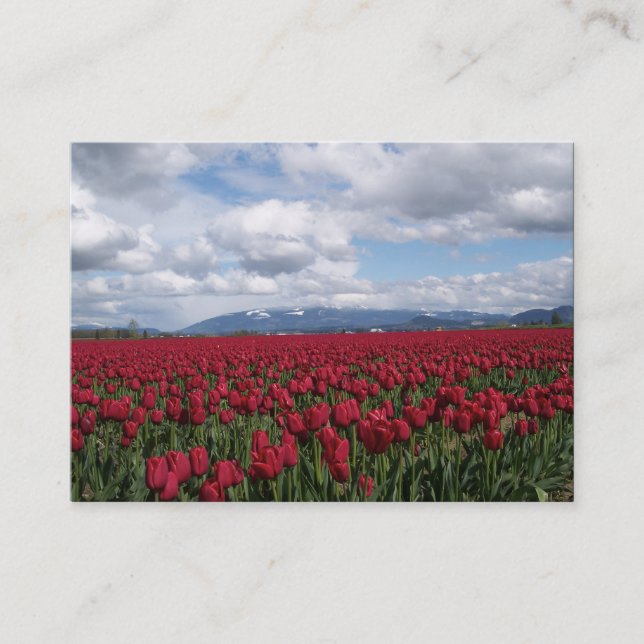 Carte De Visite Champ rouge de tulipe (Devant)
