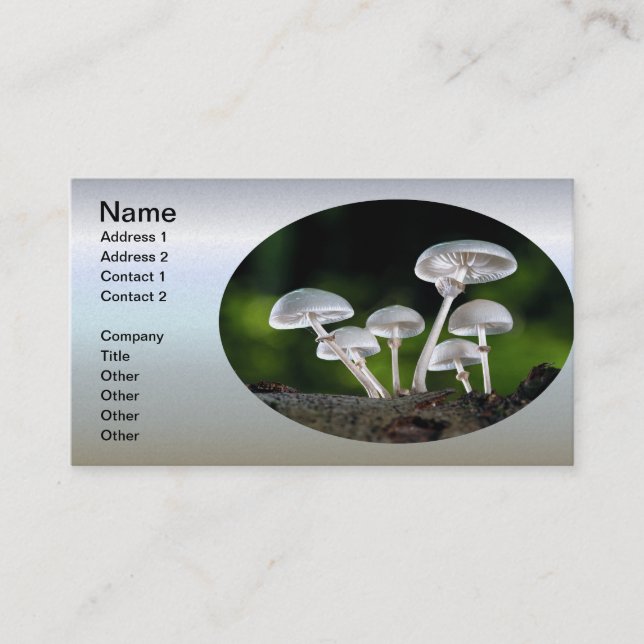 Carte De Visite Champignons d'automne de l'huître blanche (Devant)