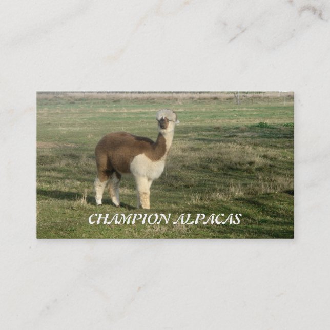 Carte De Visite Champion Alpacas (Devant)