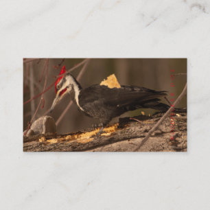 Carte De Visite Charpentier, Travailleur du bois, Constructeur à 