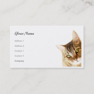 Carte De Visite Chat