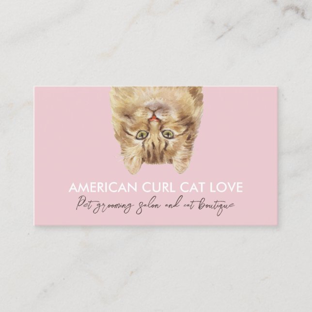 Carte De Visite Chat américain à boucles drôle de couleur rose (Devant)