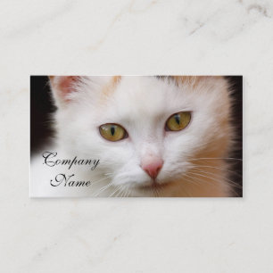 Carte De Visite Chat blanc