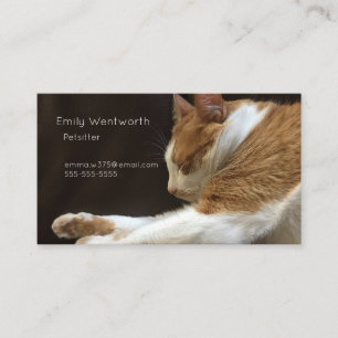 Carte De Visite Chat dormant sur canapé