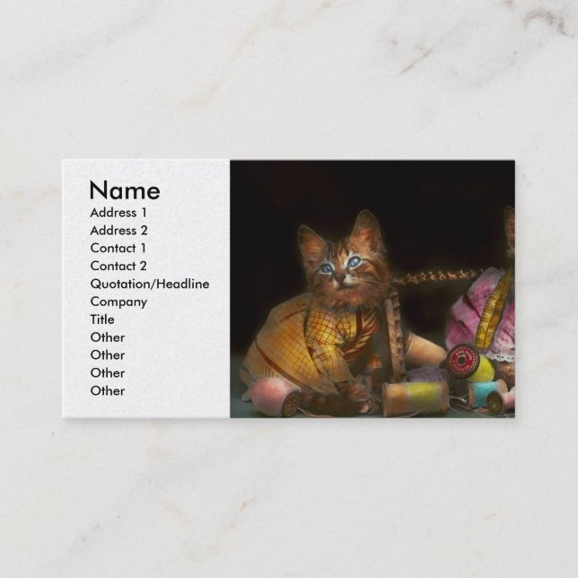 Carte De Visite Chat - Fauteurs de troubles 1915 (Devant)