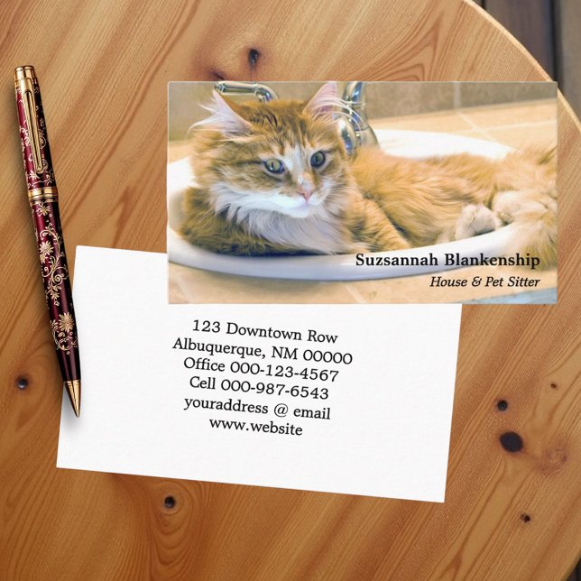 Carte De Visite Chat Funny remplaçable en évier photo (Business card template front and back)