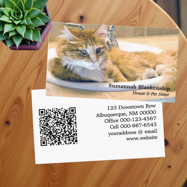Carte De Visite Chat Funny remplaçable en évier Photographie et co (Business card template with replaceable front photo and QR code on back)