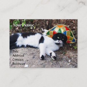 CARTE DE VISITE CHAT, HARLEQUIN LOCOMOTIVE CASQUETTE ET VAPEUR VIN