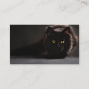 Carte De Visite Chat noir de vagabondage