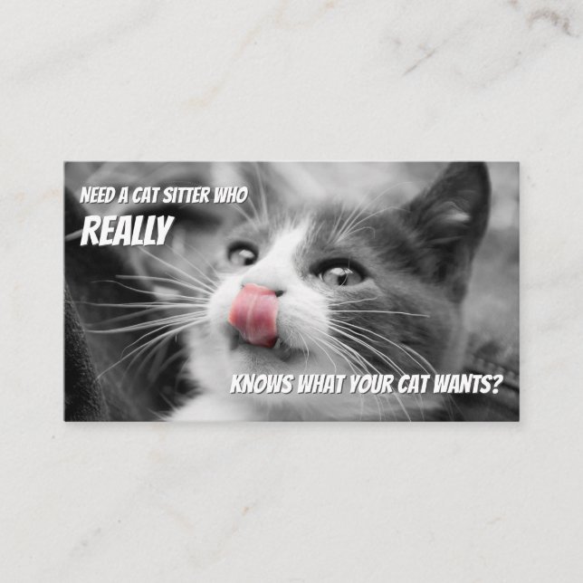 Carte De Visite Chat sitters drôle de chat soin animal de compagni (Devant)
