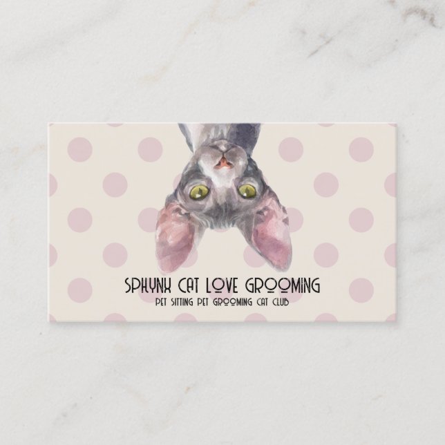 Carte De Visite Chat sphynx canadien motif à points (Devant)