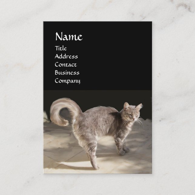 CARTE DE VISITE CHAT, TORTUE ET BASKETBALL (Devant)