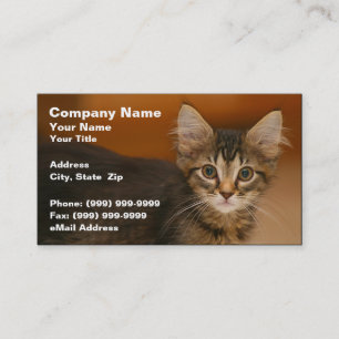 Carte De Visite Chaton mignon sur un fond Brown