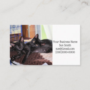 Carte De Visite Chatons