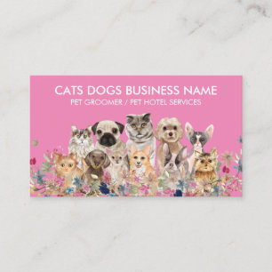 Carte De Visite Chats Floraux Rose Chiens Groomer