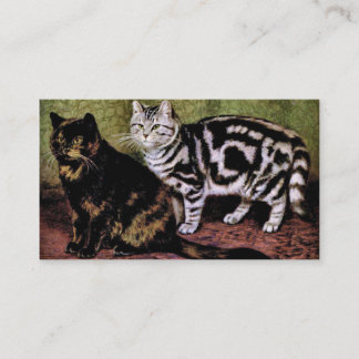 Carte De Visite Chats tigrés d'écaille et d'argent