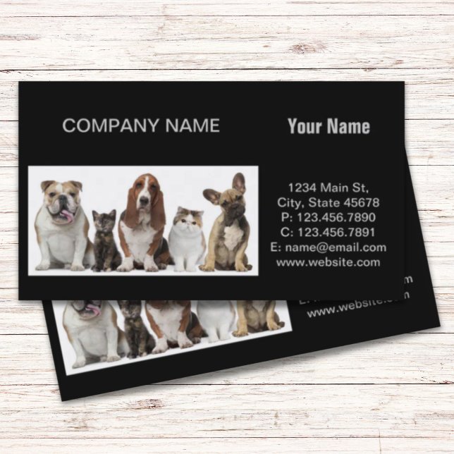 Carte De Visite chatte à cheveux court amis basset hound taureau c (cute short hair cat friends basset hound bull dog business card)