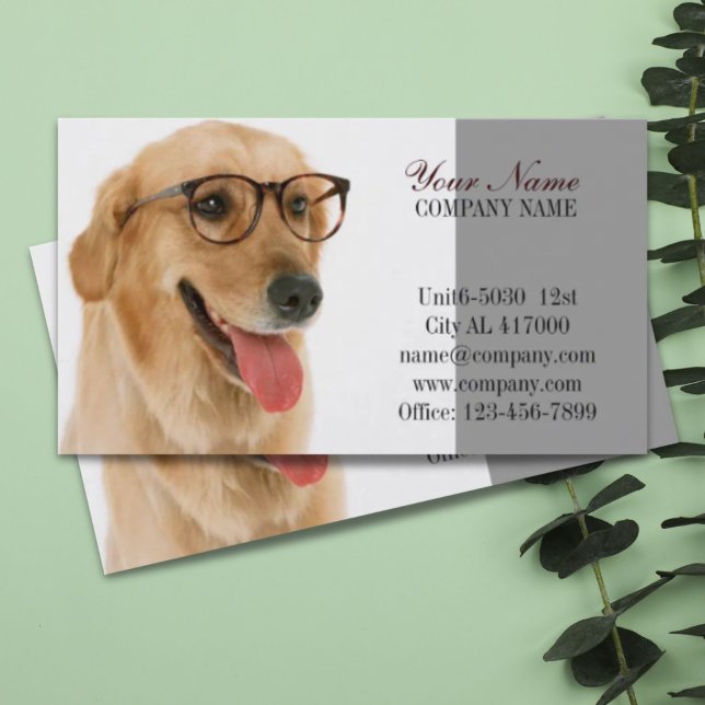 Carte De Visite Chatte chien chat animal sitter animal toiletteur (Cute dog cat pet sitter animal sitter pet groomer business card)