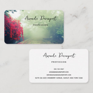 Carte De Visite Chemins de fer Misty Photo Pittoresque