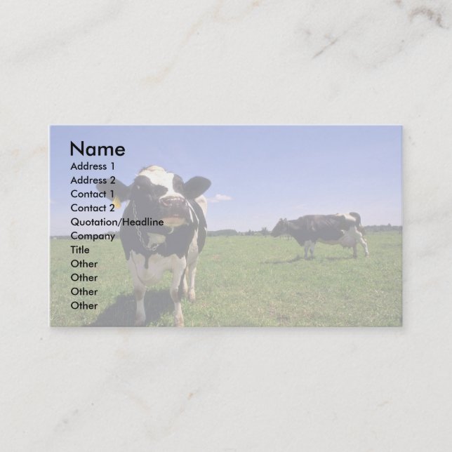 Carte De Visite Cheptels laitiers du Holstein (Devant)