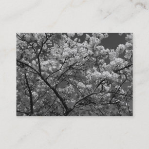 Carte De Visite Cherry Blossom B&W